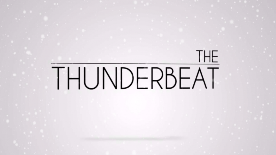 Merry Christmas and Happy Holidays from The Thunderbeat
