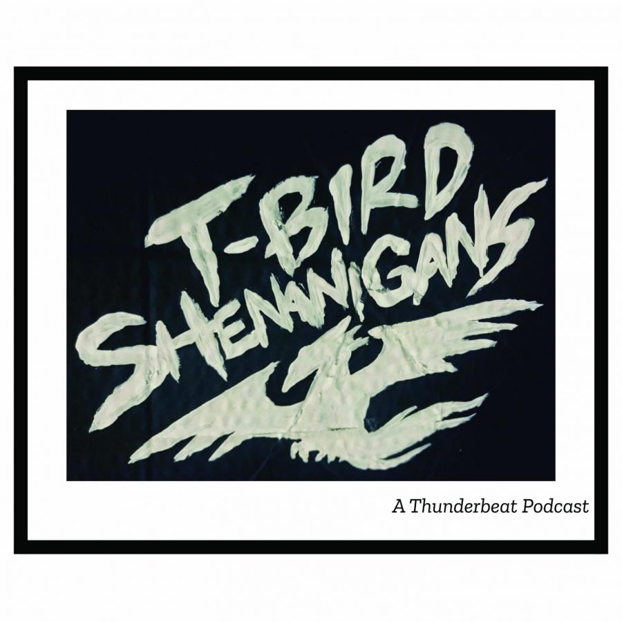 T-Bird Shenanigans S2:E7: Interview Sessions 2: Xavior Ervin, Communist