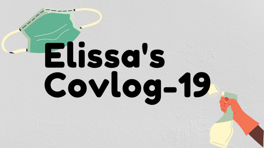 Elissas Covlog-19