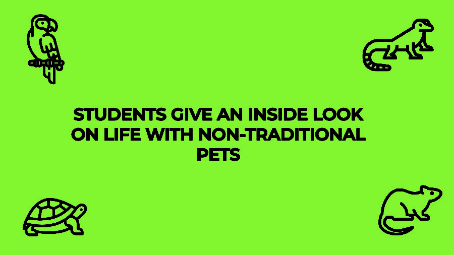 Students give an inside look on life with non-traditional pets
