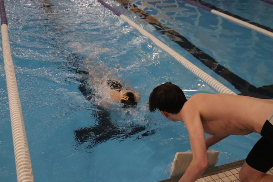 Teammate. Junior Nathan Nixon shows the swimmer what lap they’re on with a sign during the race against Omaha North. 