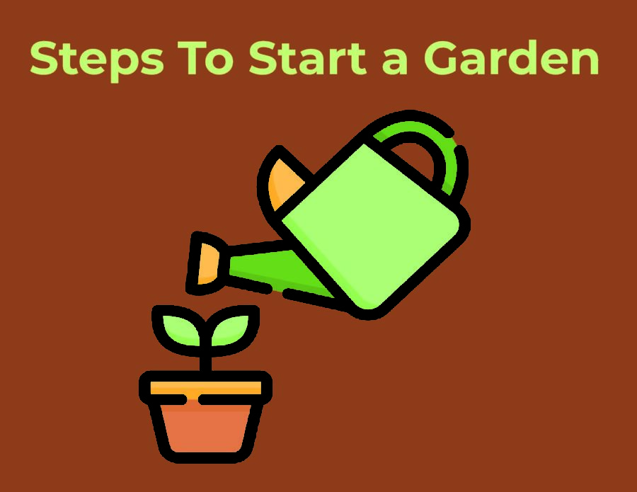Gardens benefit all: steps to start your spring garden now