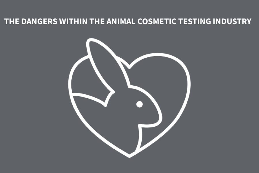 The dangers within the animal cosmetic testing industry