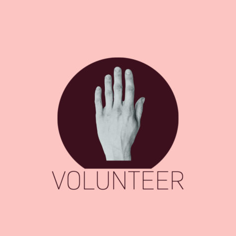 Local organizations provide volunteer opportunities