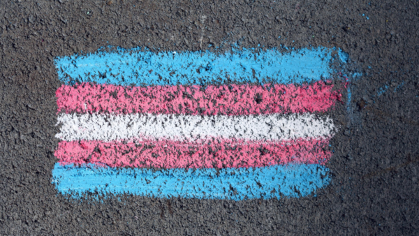 Opinion: Legislation should not restrict transgender student rights