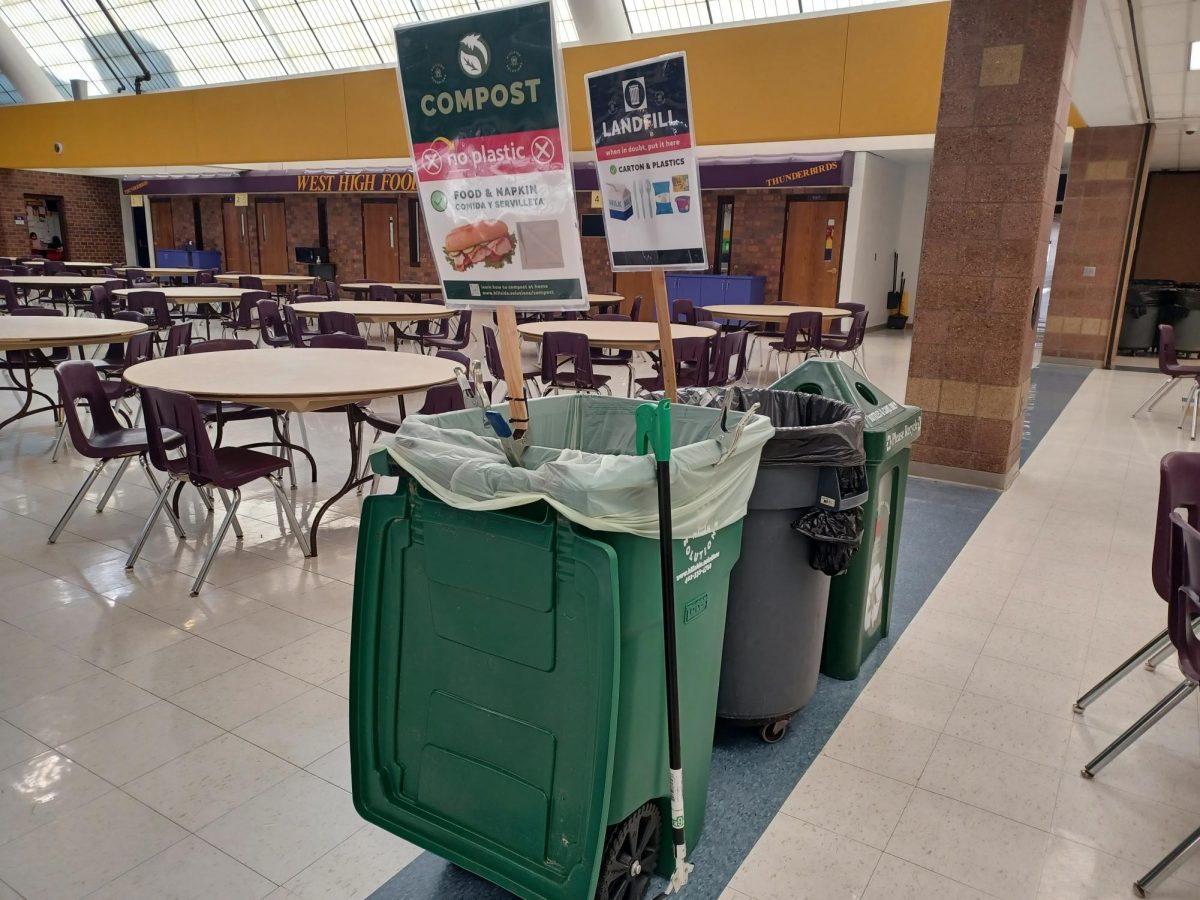 Compost bins are set up in the cafeteria as part of Sustainablity Clubs composting program. 