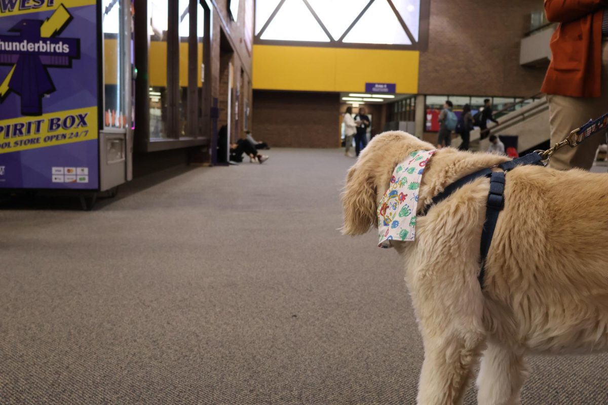 Bellevue West has new canine companion