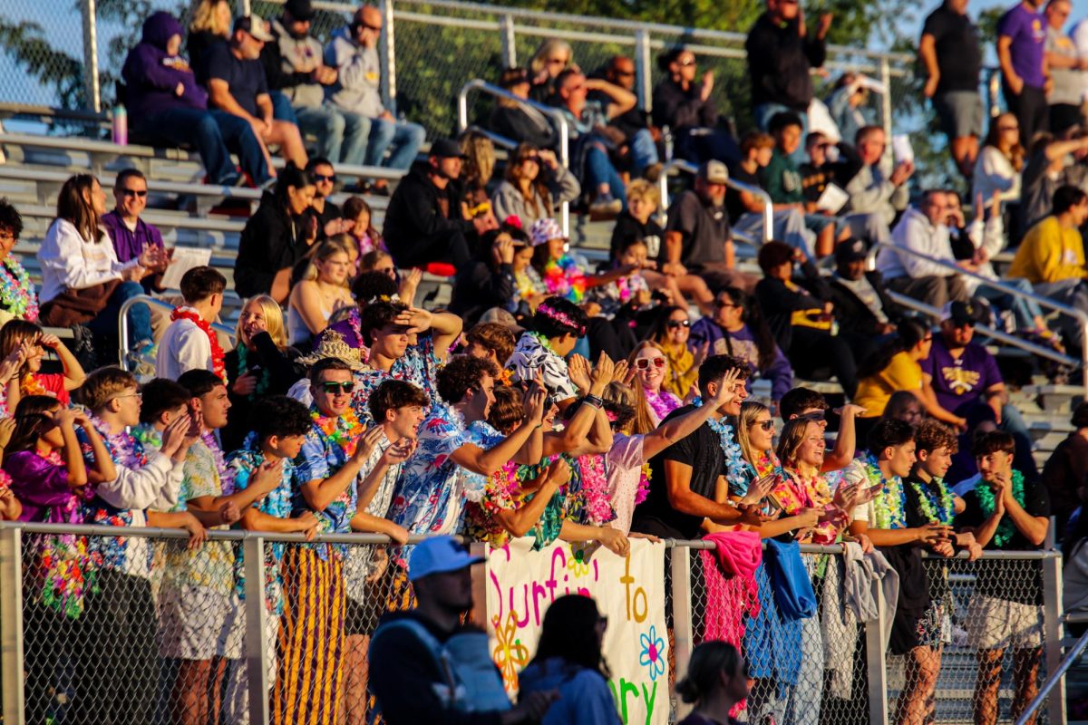 The student section celebrates a play.