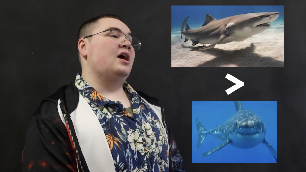 did you know S:3 E:1 Megalodon