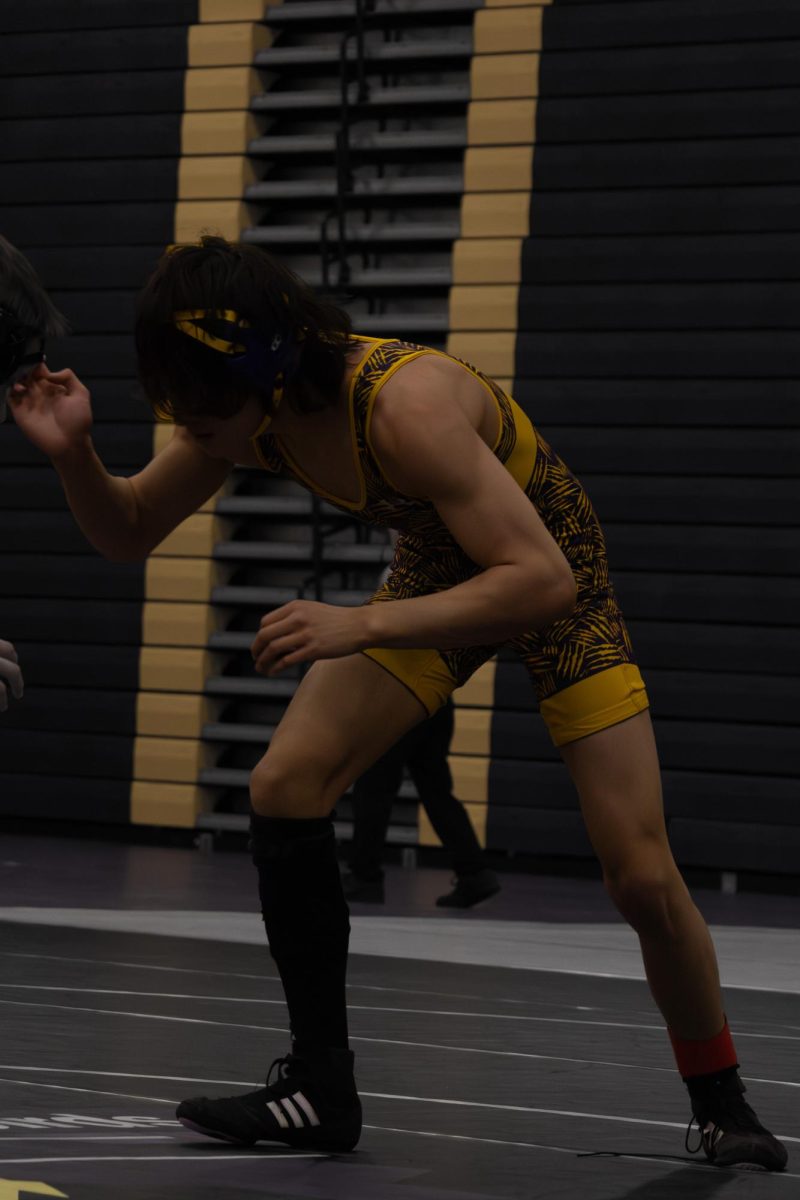wrestle10